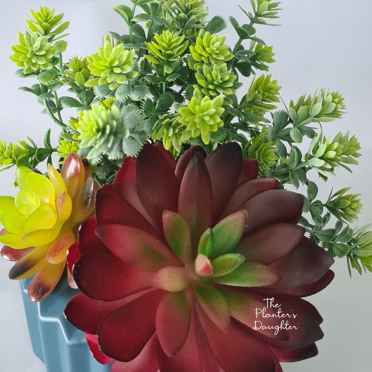 Lotus Succulent Euphoria in Vase