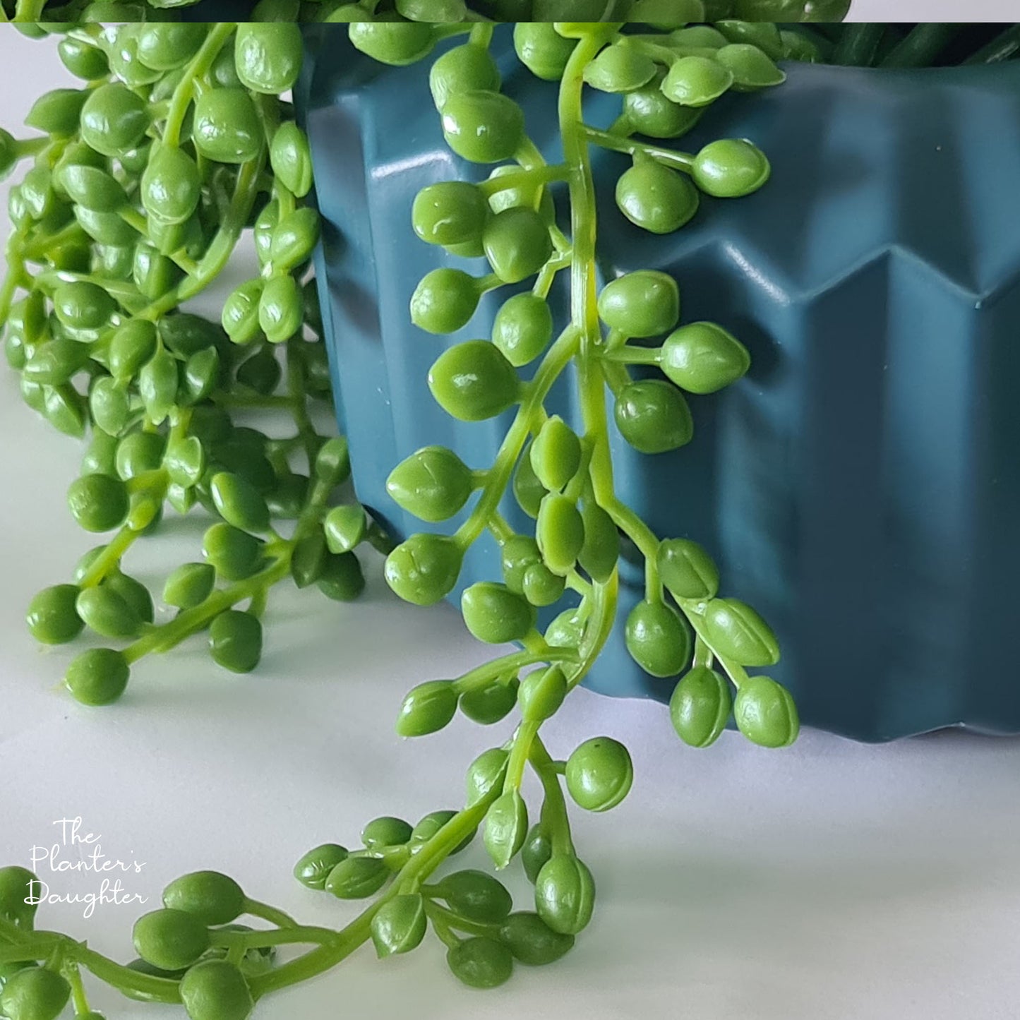 String of Pearls in Vase