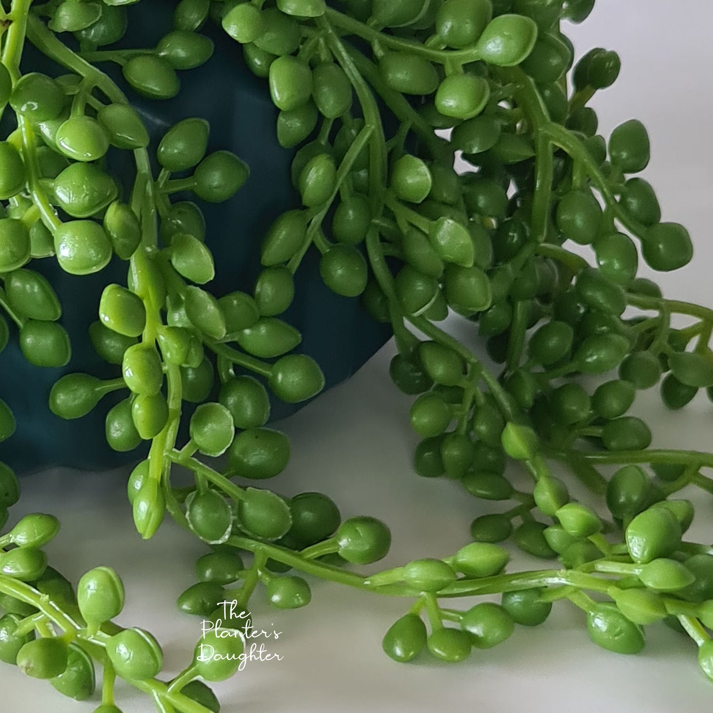 String of Pearls in Vase